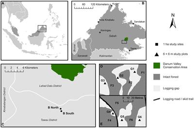 Selective logging impacts on soil microbial communities and functioning in Bornean tropical forest